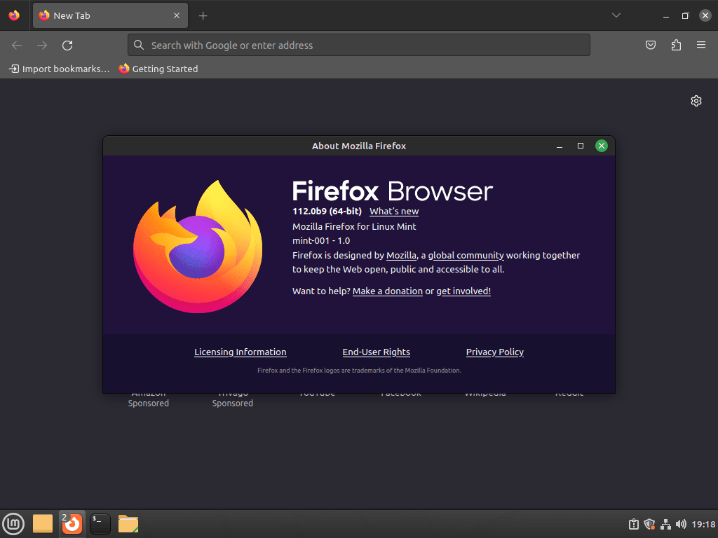 example of firefox browser with version number showing beta symbol on linux mint