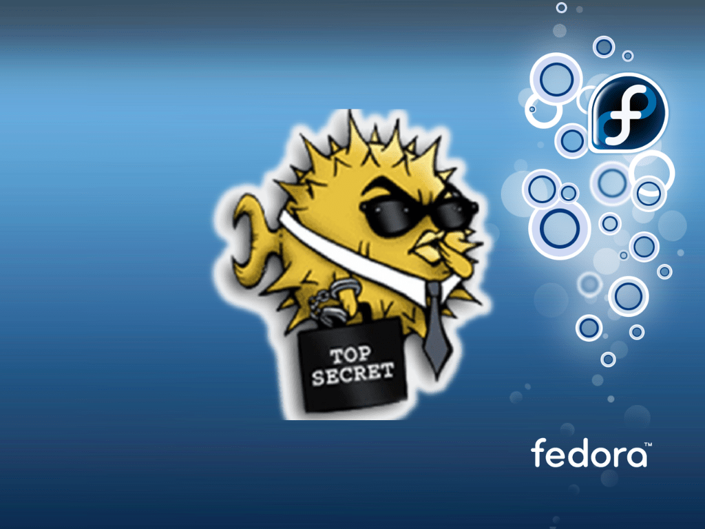 How to Install and Enable SSH on Fedora Linux