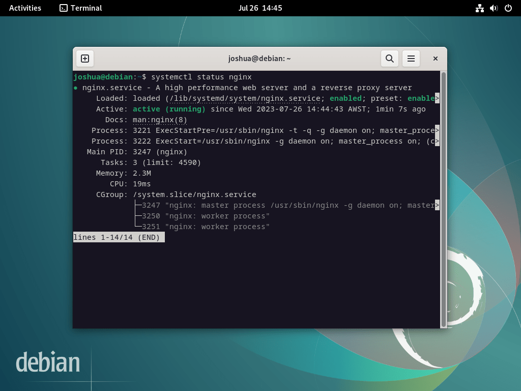 Screenshot of nginx service status while installing phpMyAdmin with LEMP on Debian Linux.