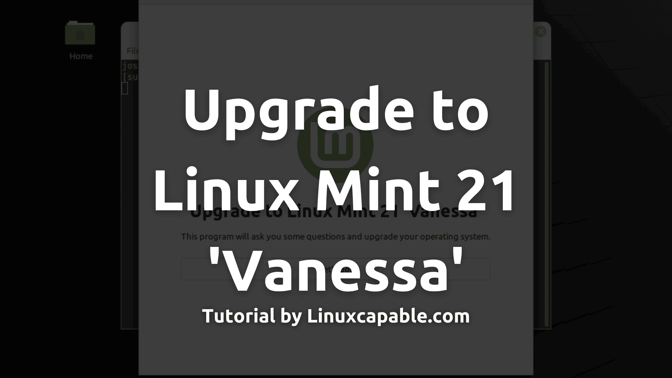 How to Upgrade to Linux Mint 21 'Vanessa'