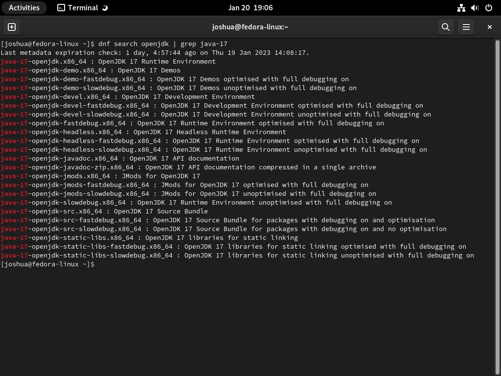 Screenshot showing the terminal command to search for a specific Java version on Fedora Linux.