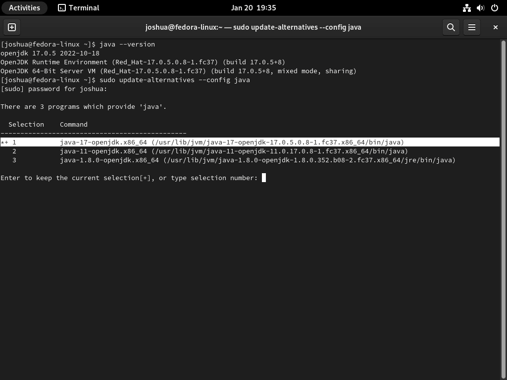 Screenshot displaying the terminal command for bringing up options to change the Java version on Fedora Linux.
