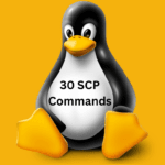 SCP Command on Linux 30 Example Commands
