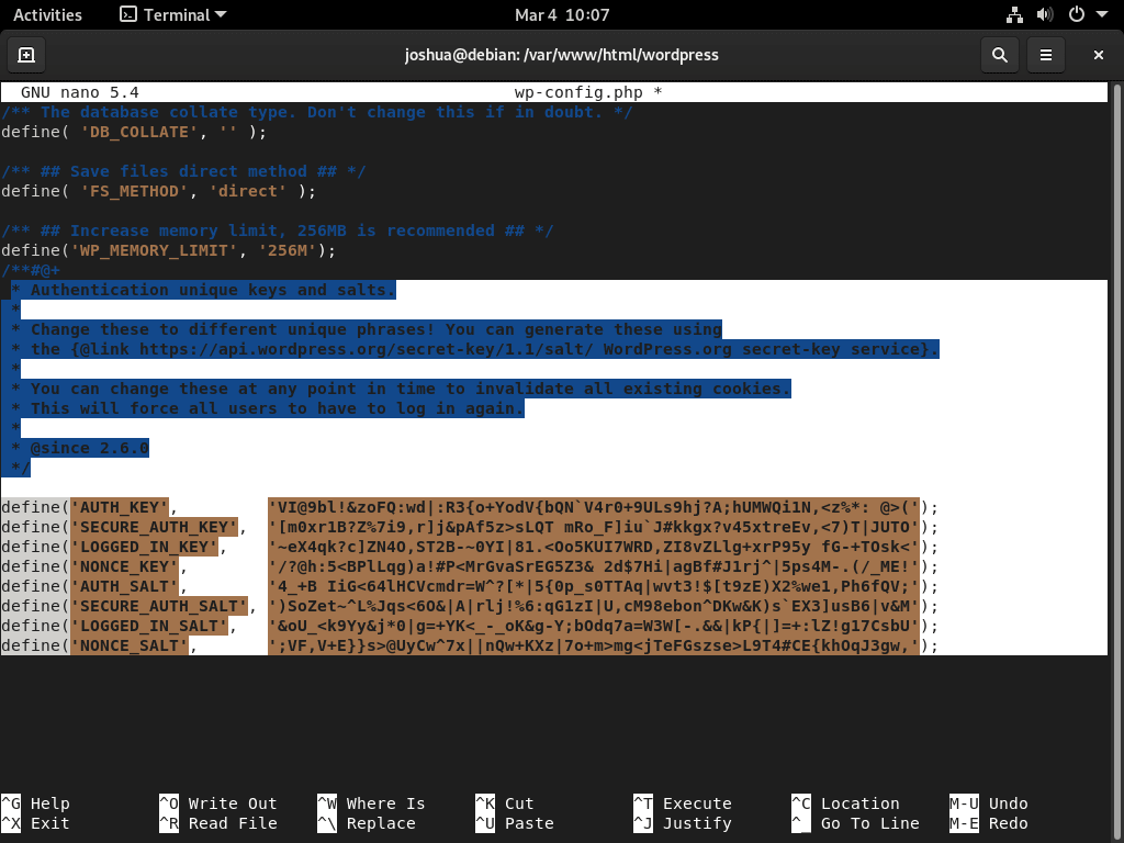 wordpress install on debian 11 or 10 with lemp - example adding salt keys to wordpress config file