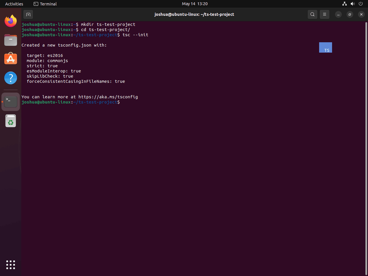 example of init command with typescript on ubuntu linux for test project
