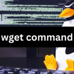 wget command linux