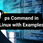 ps Command in Linux with Examples